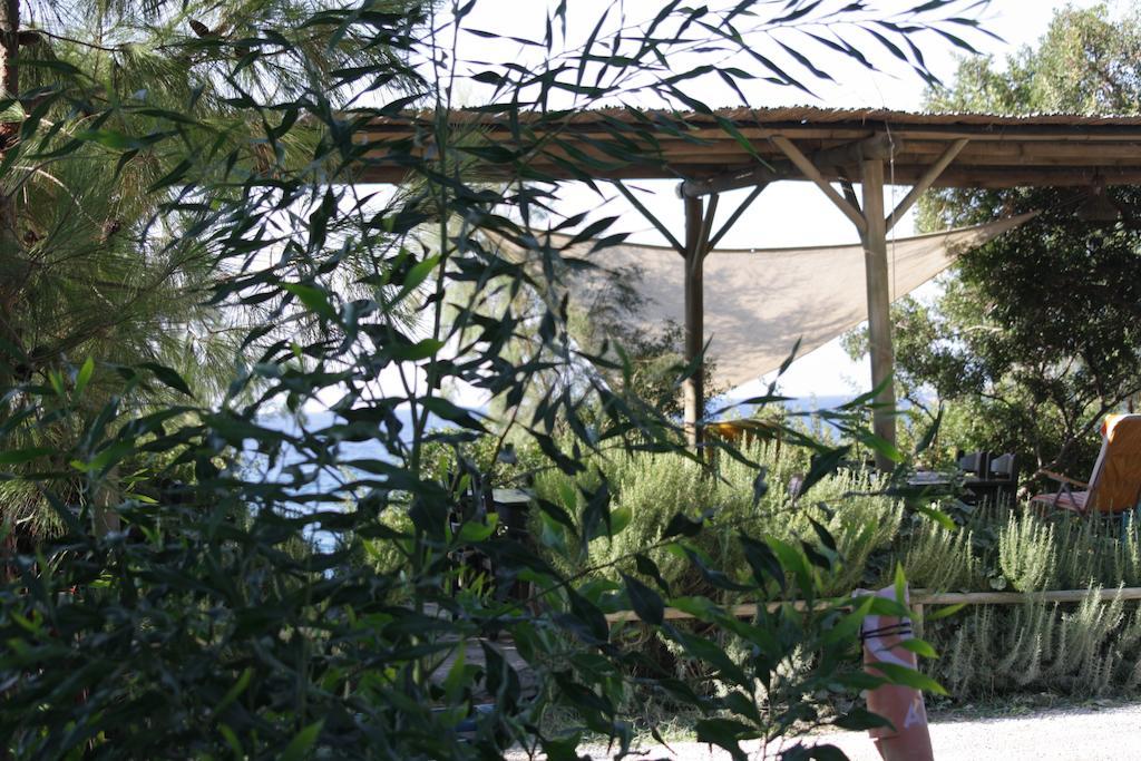 Hoppala Pension Datça Habitación foto